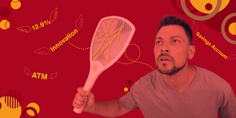 Fly Swatter Facts