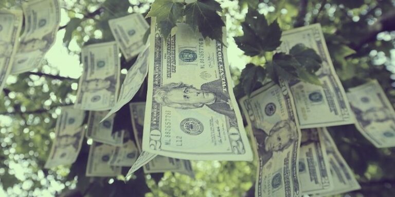 Does Money Grow on Trees